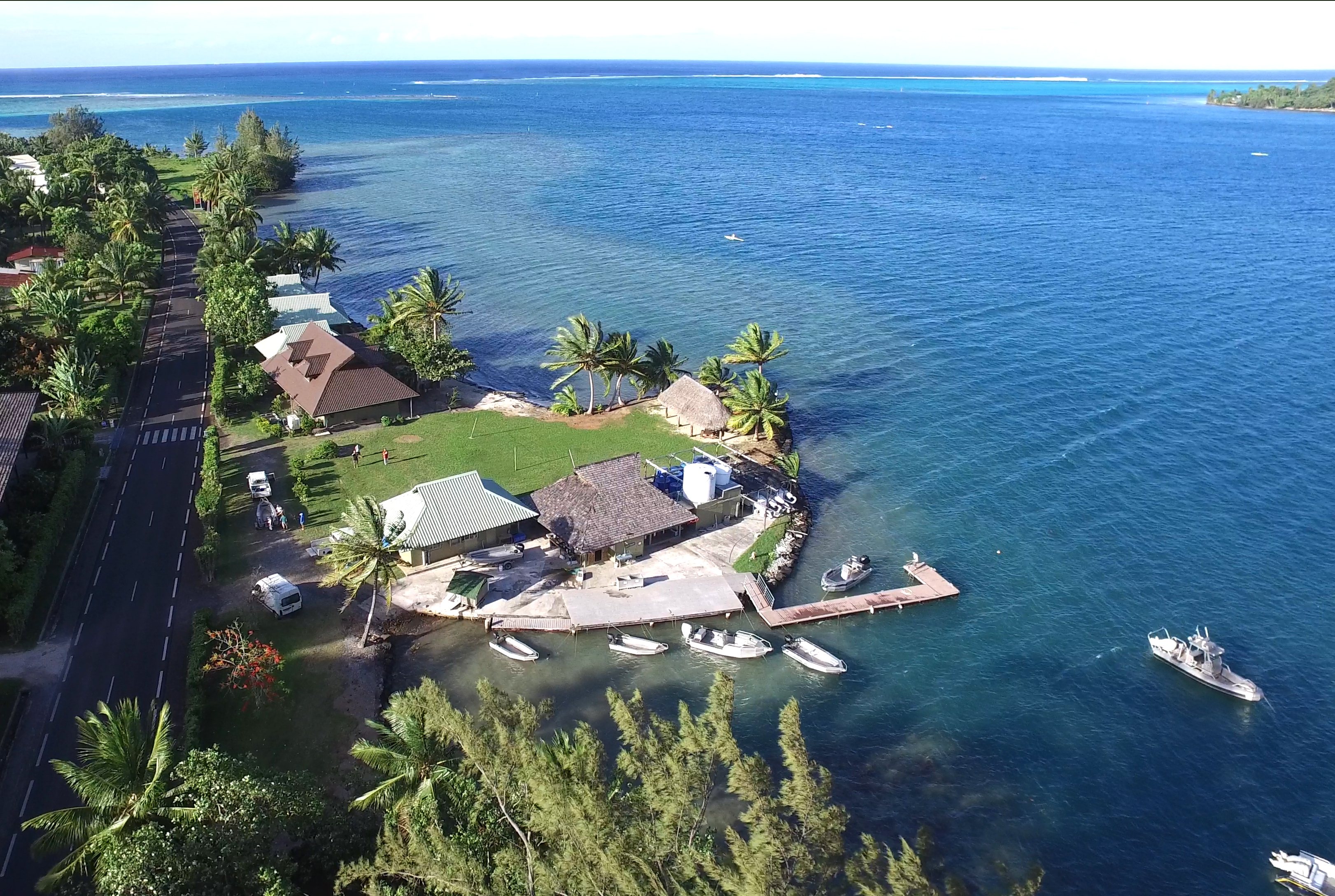 Moorea Coral Reef LTER LTER