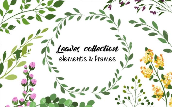 Collection Of Free Leaf Vector LTHEME