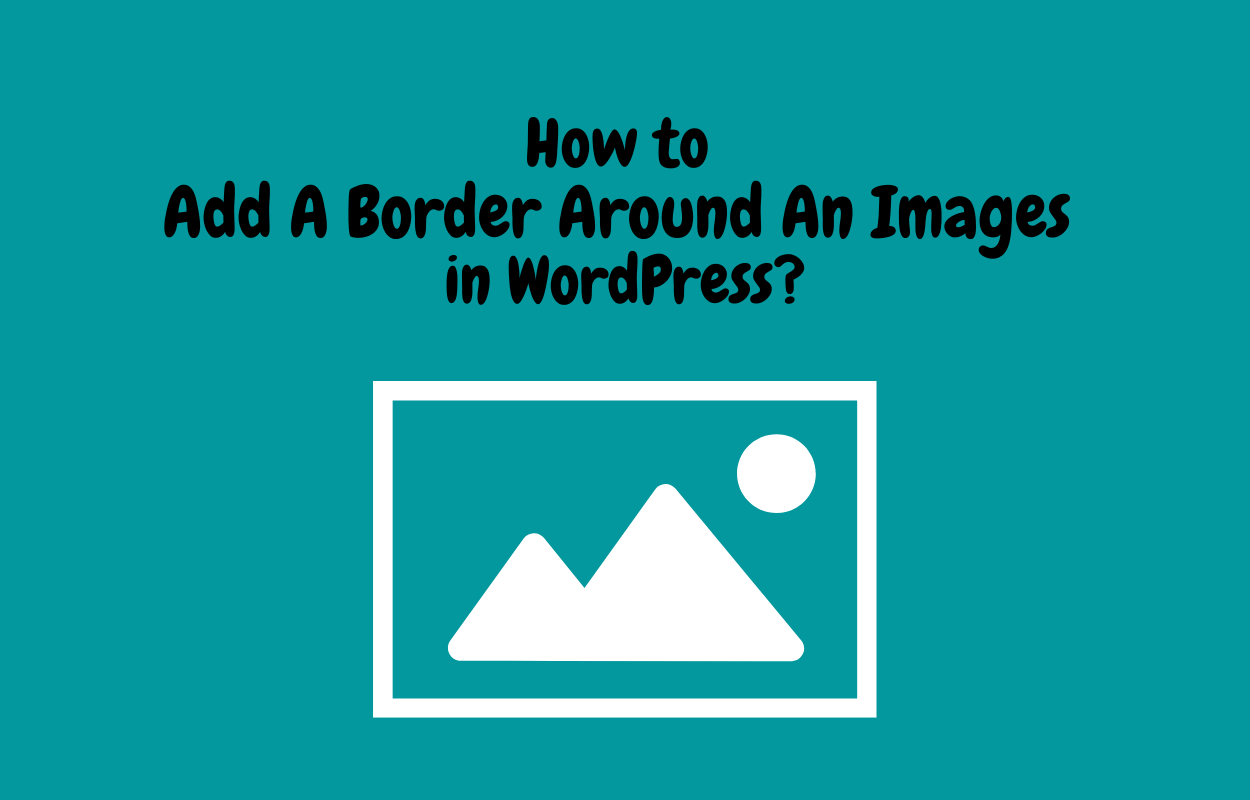 How to Add a Border Around an Image in WordPress 2024 LTHEME