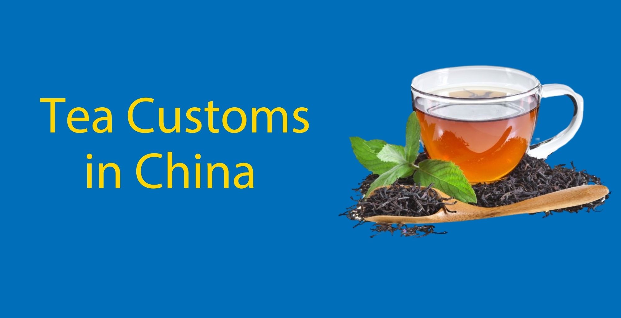 Tea Customs in China ☕️ Your Ultimate Guide (Plus FREE Download)