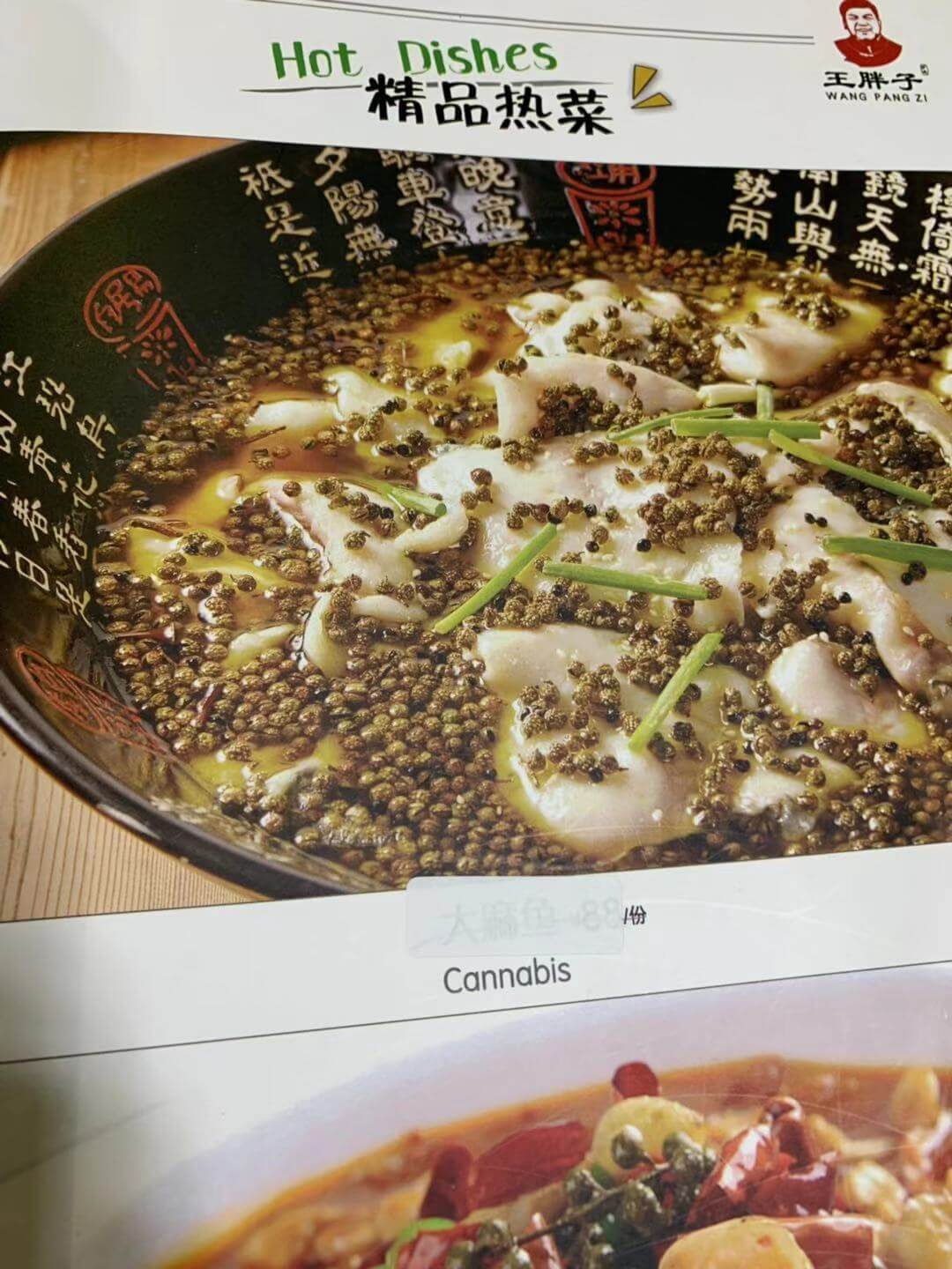 Chinese + English = Chinglish // Top 23 You Must See To Believe