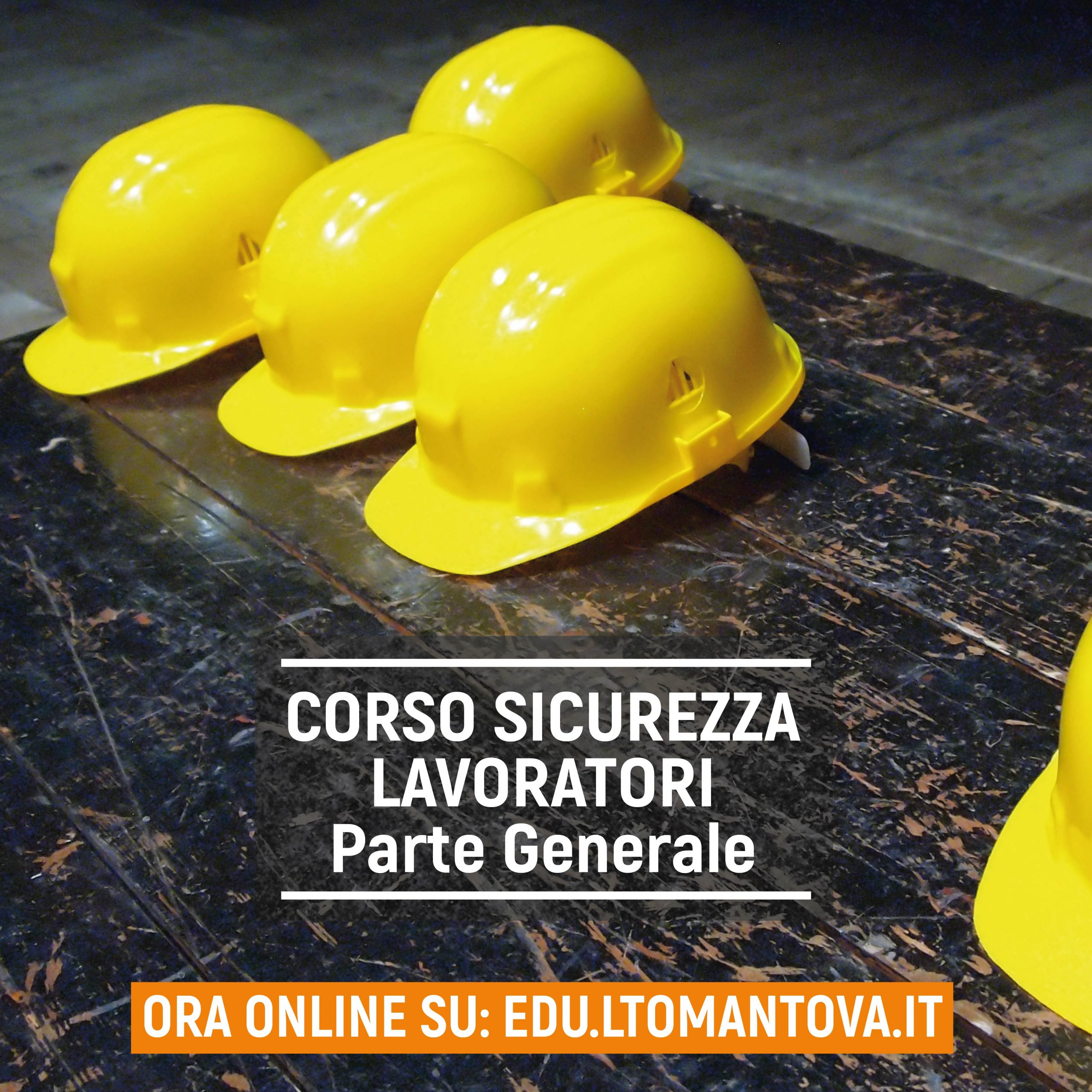 Scuola E Giovani In Sicurezza: Formazione A Distanza Per Un Approccio Omogeneo A Scala Territoriale Sui Temi Della Sicurezza Sul Lavoro – Ltomantova.it 2560_x_2560_jpg