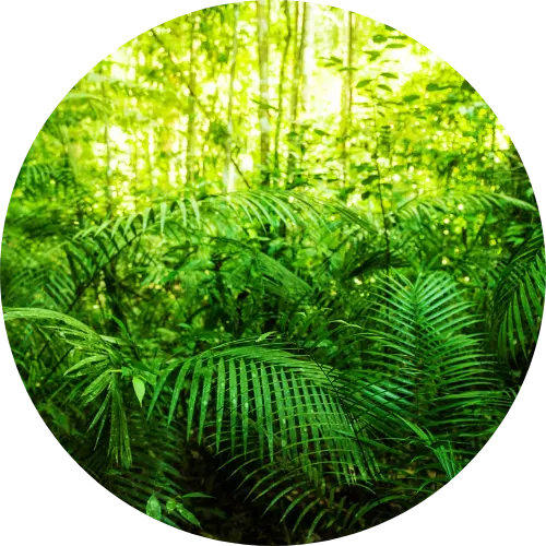 Negotiating labor contracts Protecting your business’s interests in