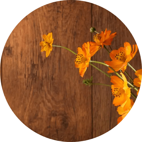 LTS LAW’s franchise contract negotiation services for optimal benefits