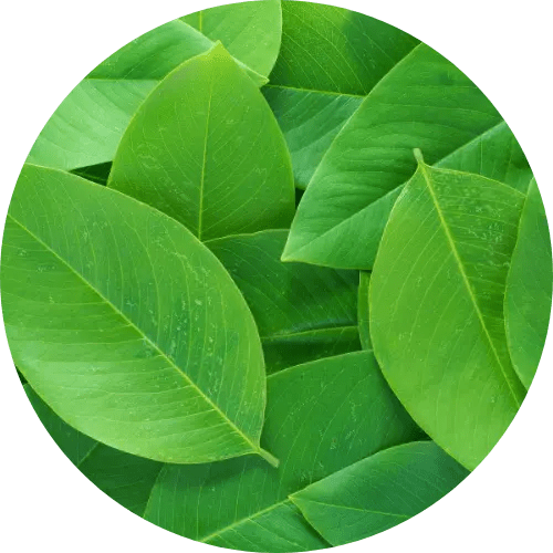 Confidentiality agreements in Vietnam Key negotiation points LTS LAW