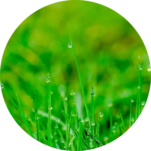 Legal Requirements for Prenuptial Agreements in Vietnam LTS LAW FIRM