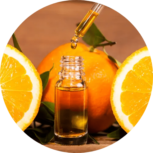 The Impact of Prenuptial Agreements on Children and Custody