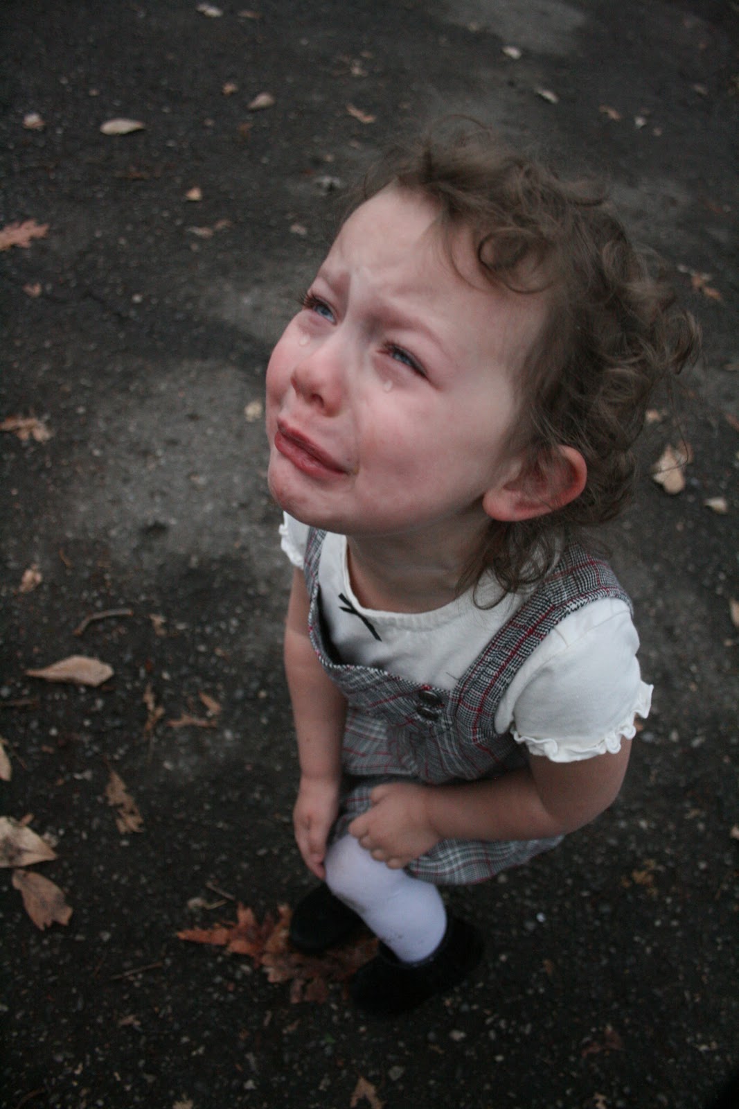 The story of the scraped knee Cal Ledbetter Counseling