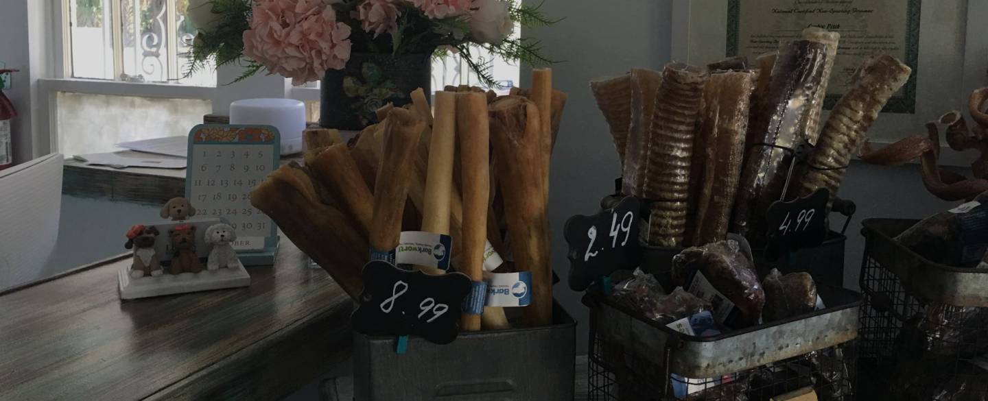 Luba’s Pet Grooming Studio Full service pet facility Grooming, Boarding, Day Care, Boutique