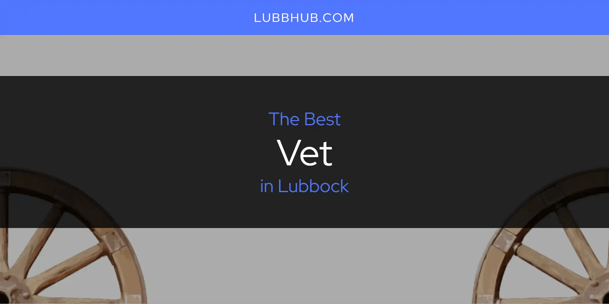 The Best Vet in Lubbock [Updated 2023] LubbHub