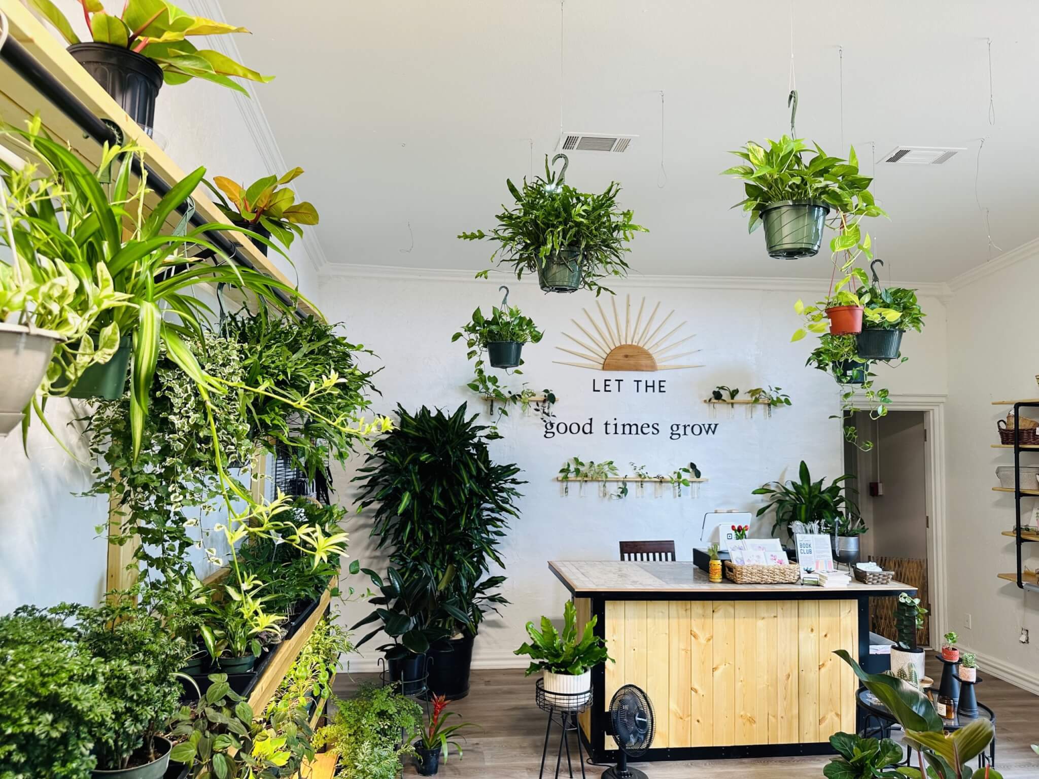 The Dutch House of Plants A Dutch Legacy in Texas Soil LubbockEDA