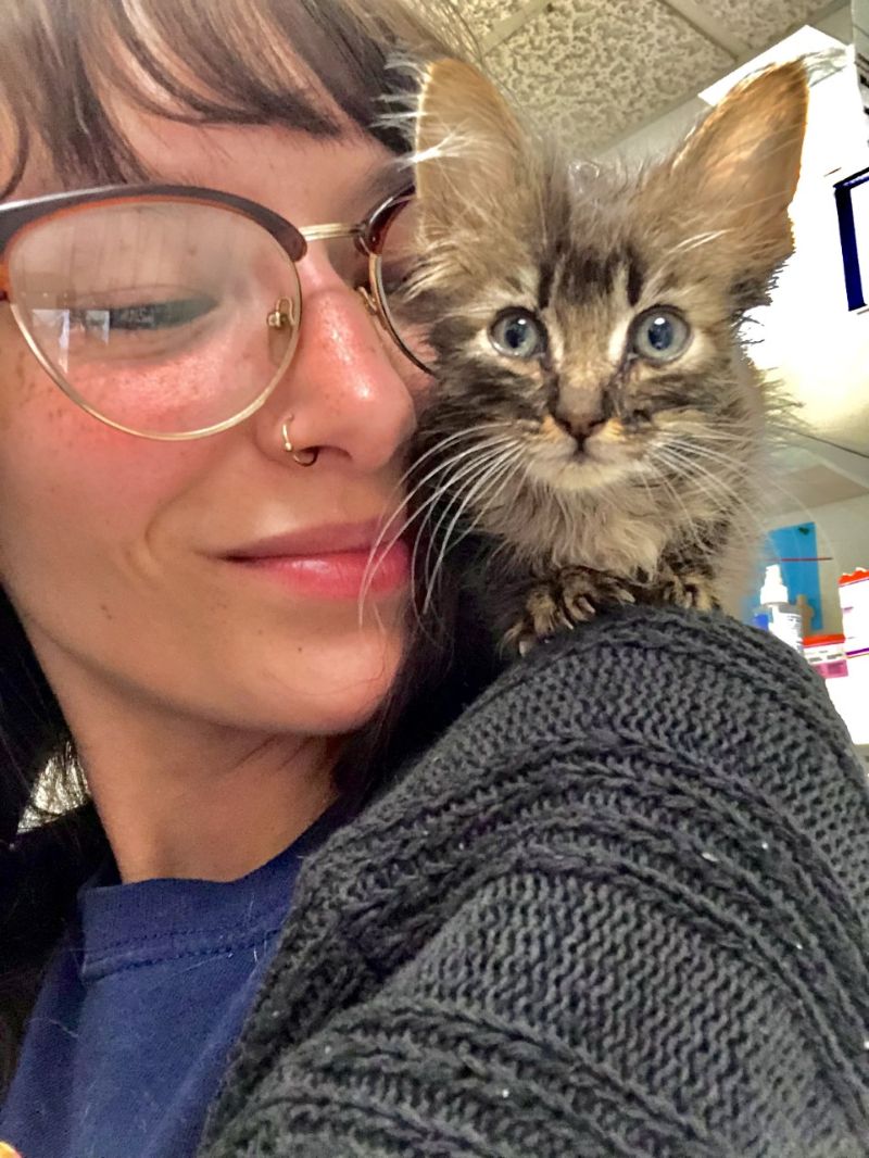 Veterinary Clinic Of Lubbock Gallery Vet Clinic In Lubbock