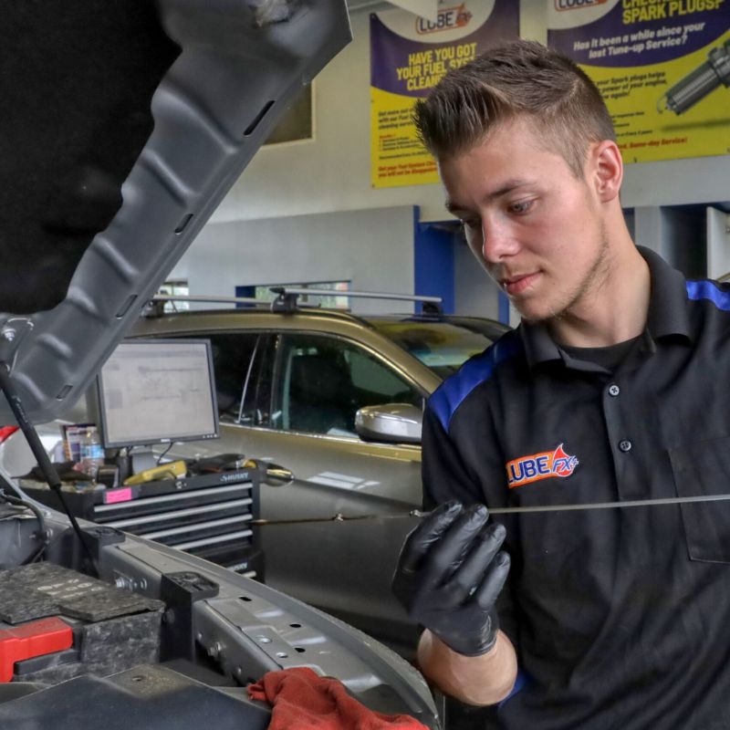 Oil Change Edmonton Deals, and Coupons Lubefx