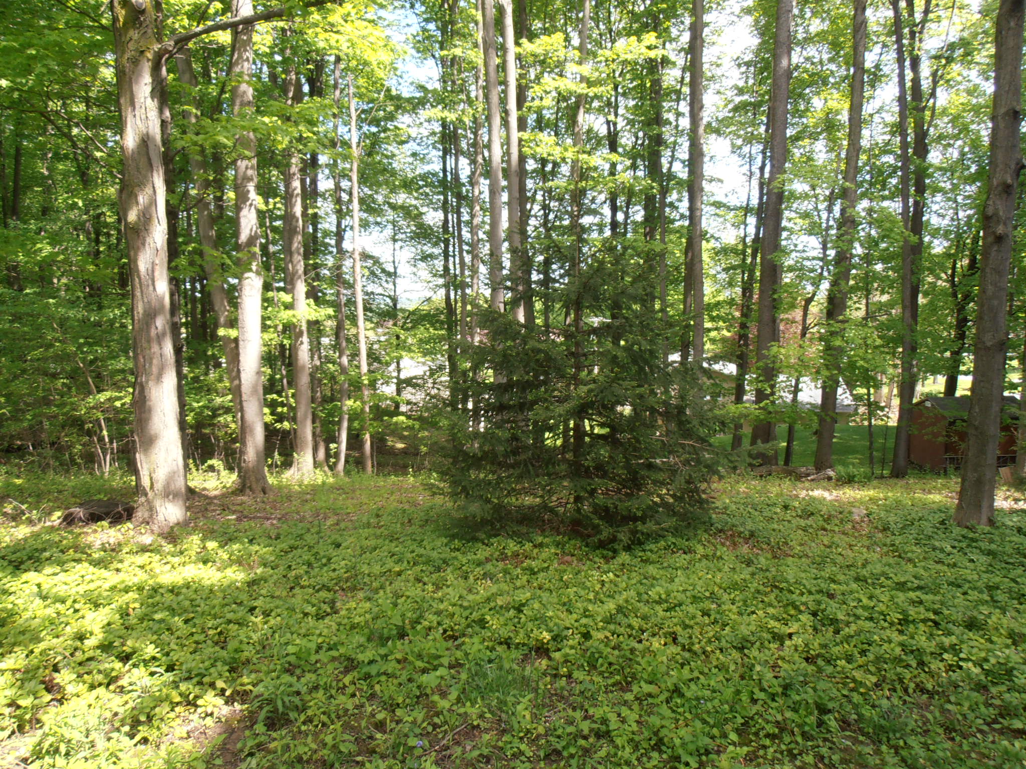 Luber Associates INC, Syracuse New York Restoration House Flips Renovation Houses Luber Associates