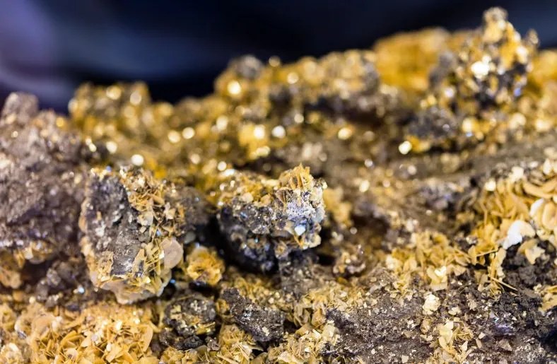 When Not to Use Moly Grease (20232024)? [Explained] Lubricants Base