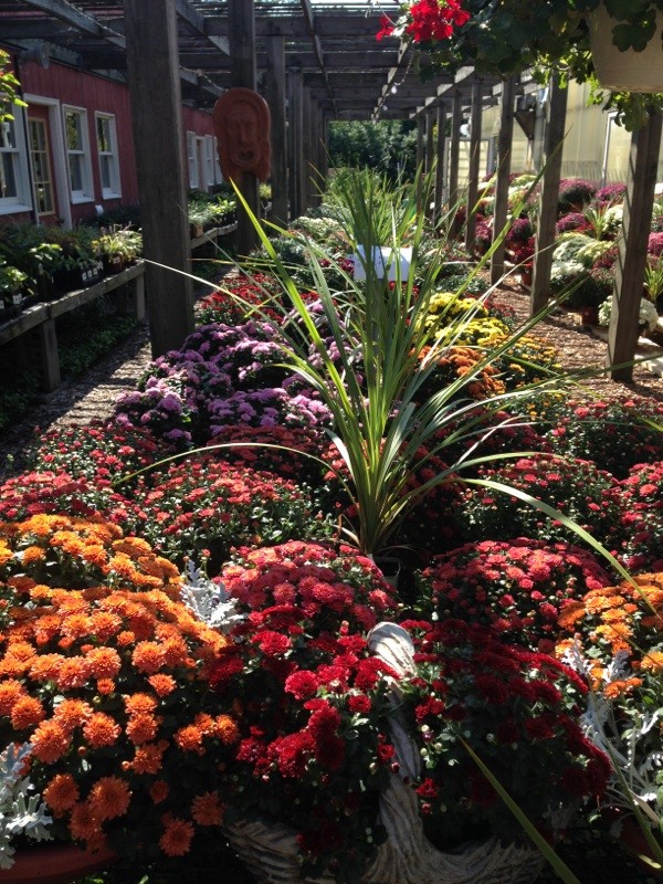 Residential Landscape Nursery Westchester Residential Nursery