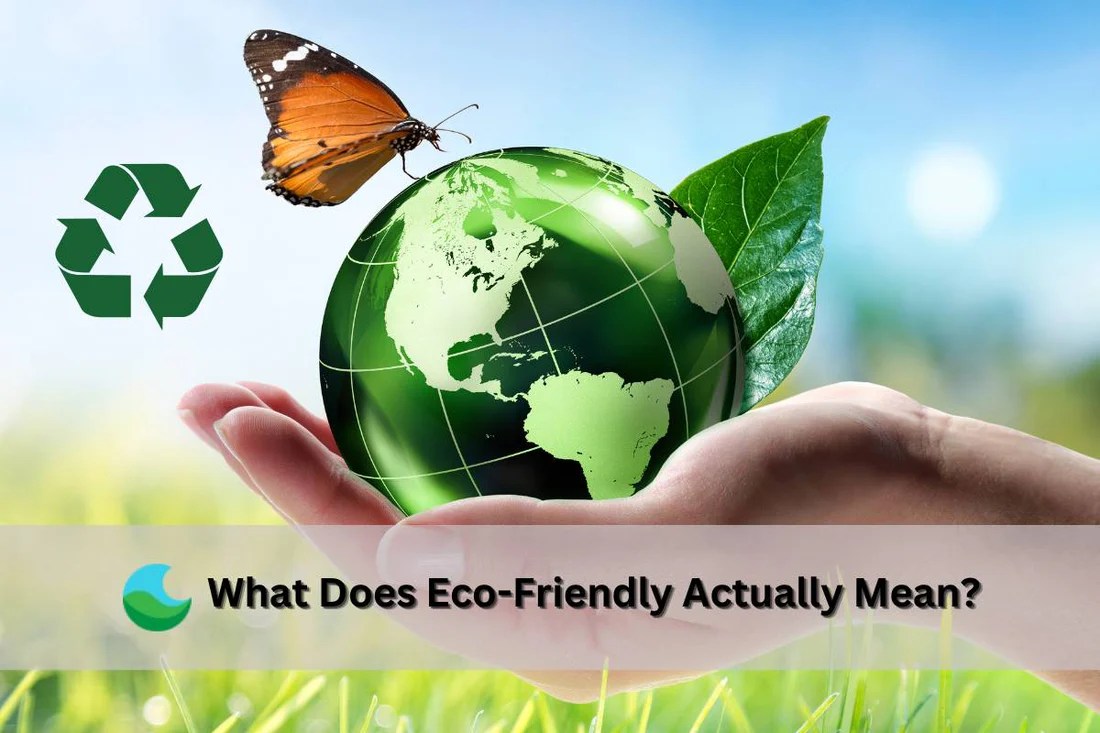 What Does EcoFriendly Really Mean? Lucent Globe