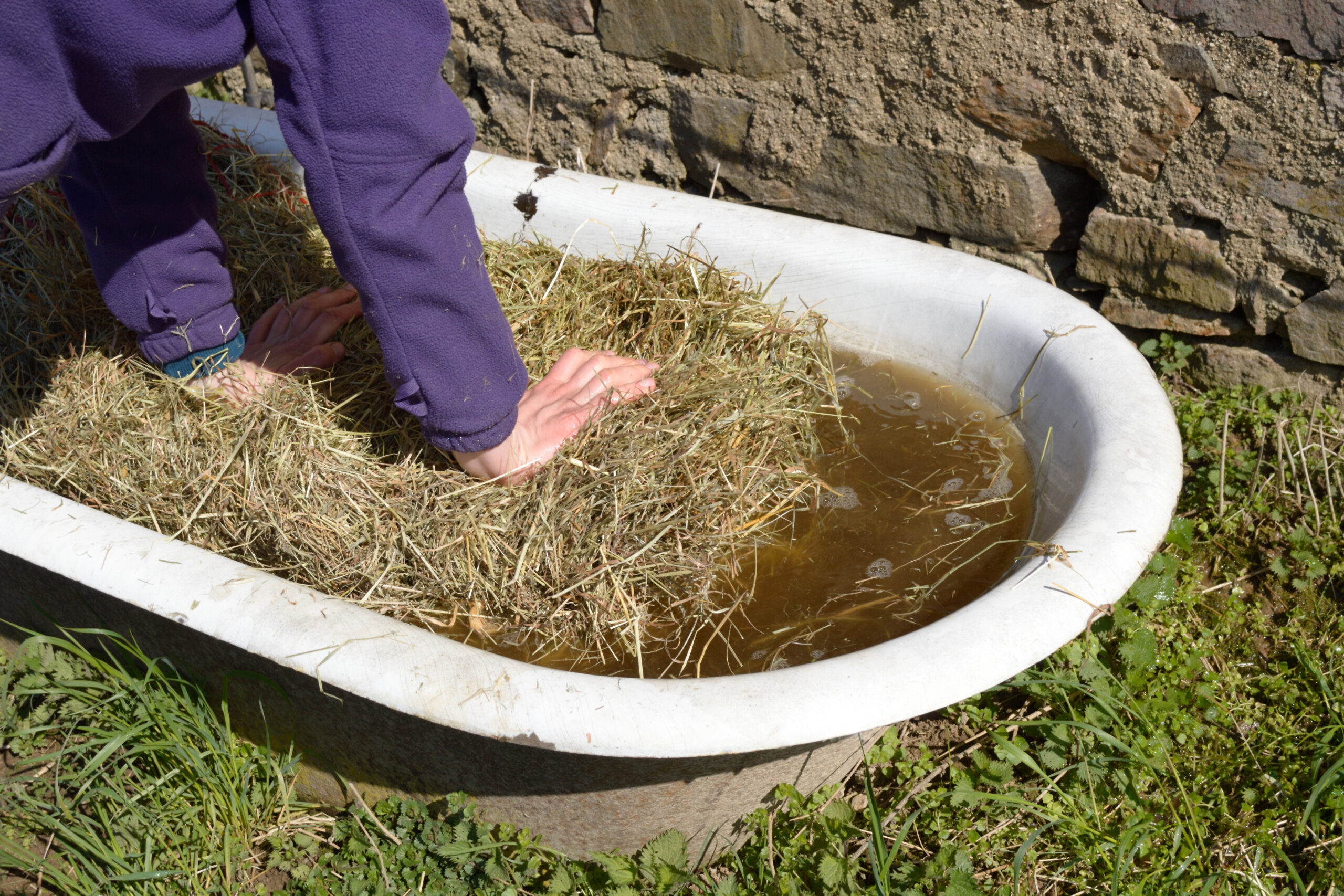 The Pros and Cons of Soaking Hay for Horses Lucerne Farms