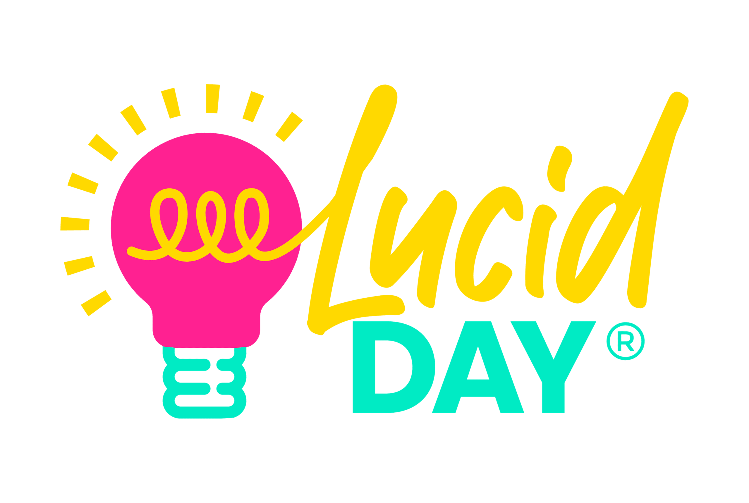Professional Services Lucid Day