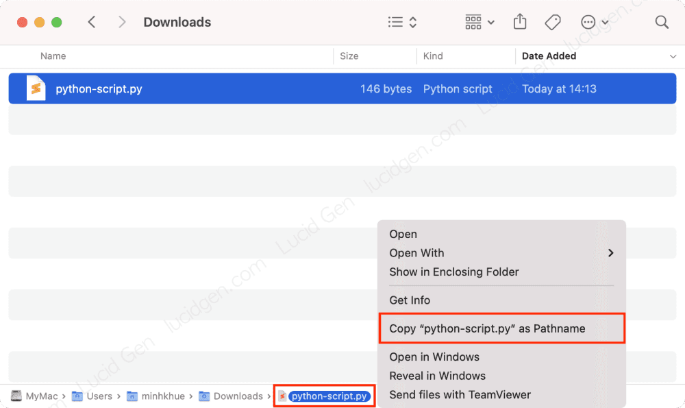 How to run a Python file in CMD or Terminal