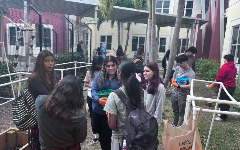 Treasure Coast High School Cultural Garden LucieLink