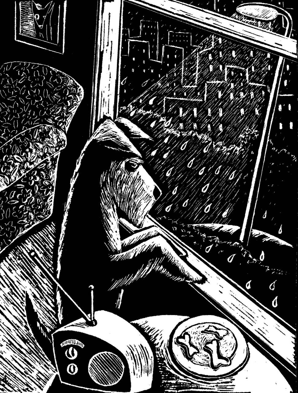 Dog Detective Lucinda Naylor