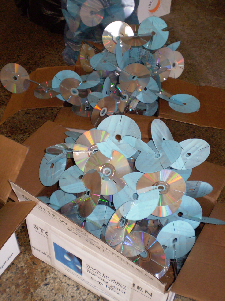 Returning the DVDs Lucinda Naylor