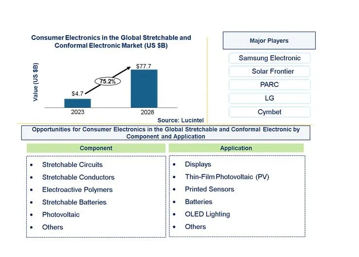 Consumer Electronics in the Global Stretchable and Conformal Electronic