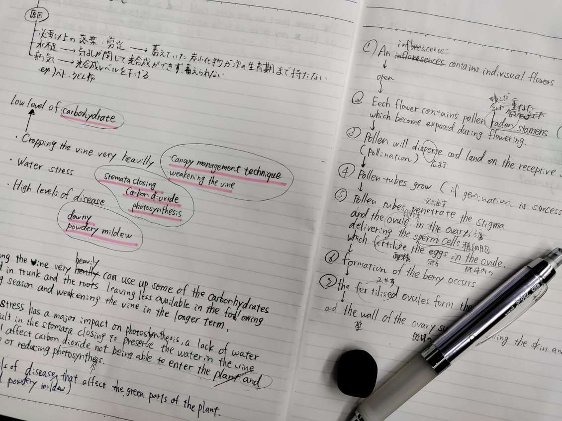 WSET diplomaってワインのどんな資格？ Luciole｜ルシオール｜WSET&ソムリエによるワインの輸入・販売｜運営 仙台市青葉