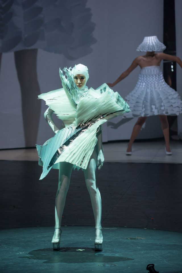 The 2014 Brancott Estate World of Wearable Art awards Supreme Award