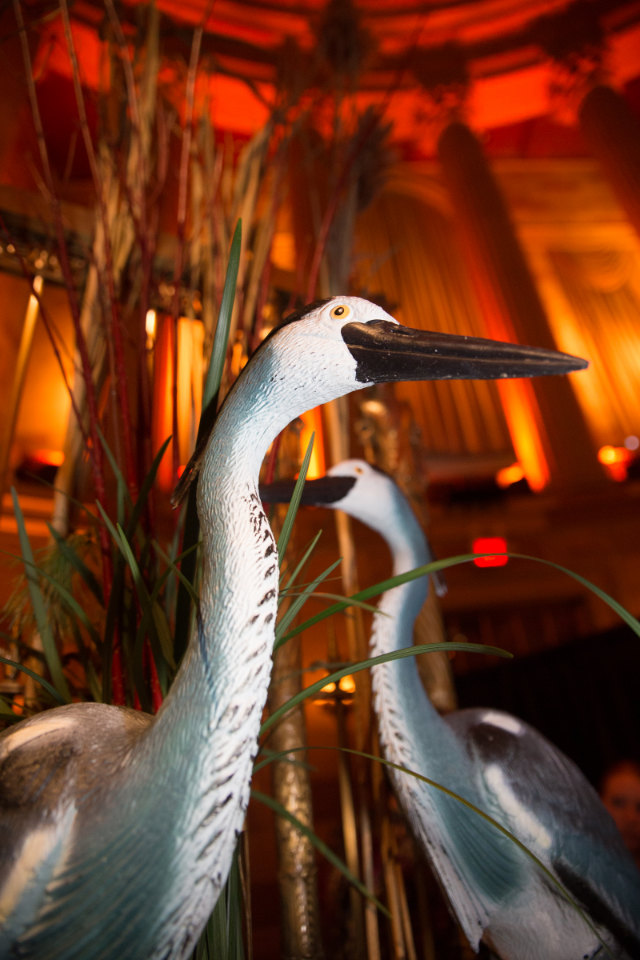 National Audobon Society hosts 2017 gala US1·1 million raised for