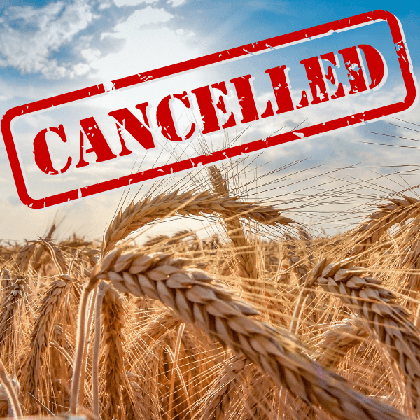 Luckey Farmers' 2021 Wheat Meeting Cancelled