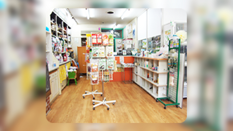 【目黒 / ペットショップ】鳥政畜犬店（トリマサチクケンテン）｜luckmachi【らくまち】｜調べる、出かける、めぐり合う