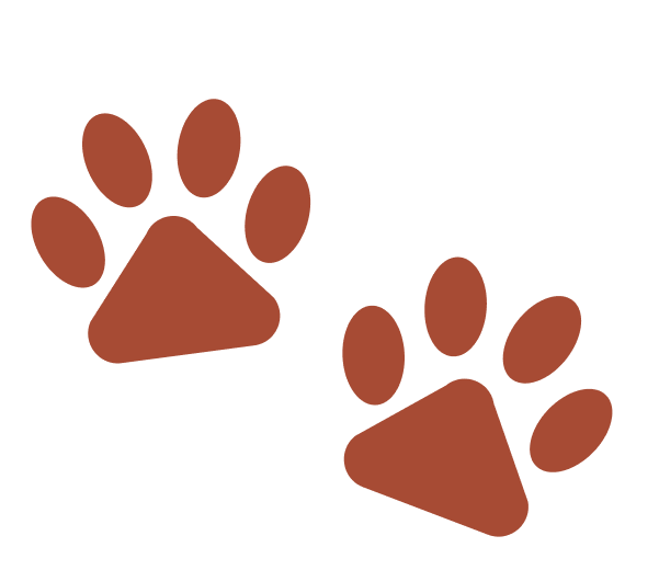 Wholesome & Healthy Dog Food Pet Food Delivery Lucky Dog Cuisine