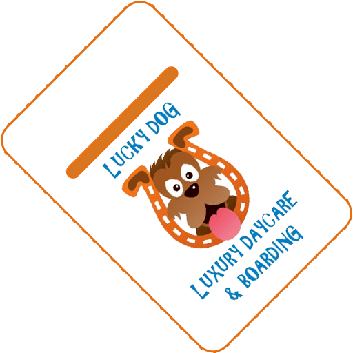 Luxury Dog Boarding Lucky Dog Daycare