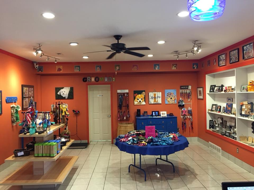 Pet Store Lucky Dog Daycare