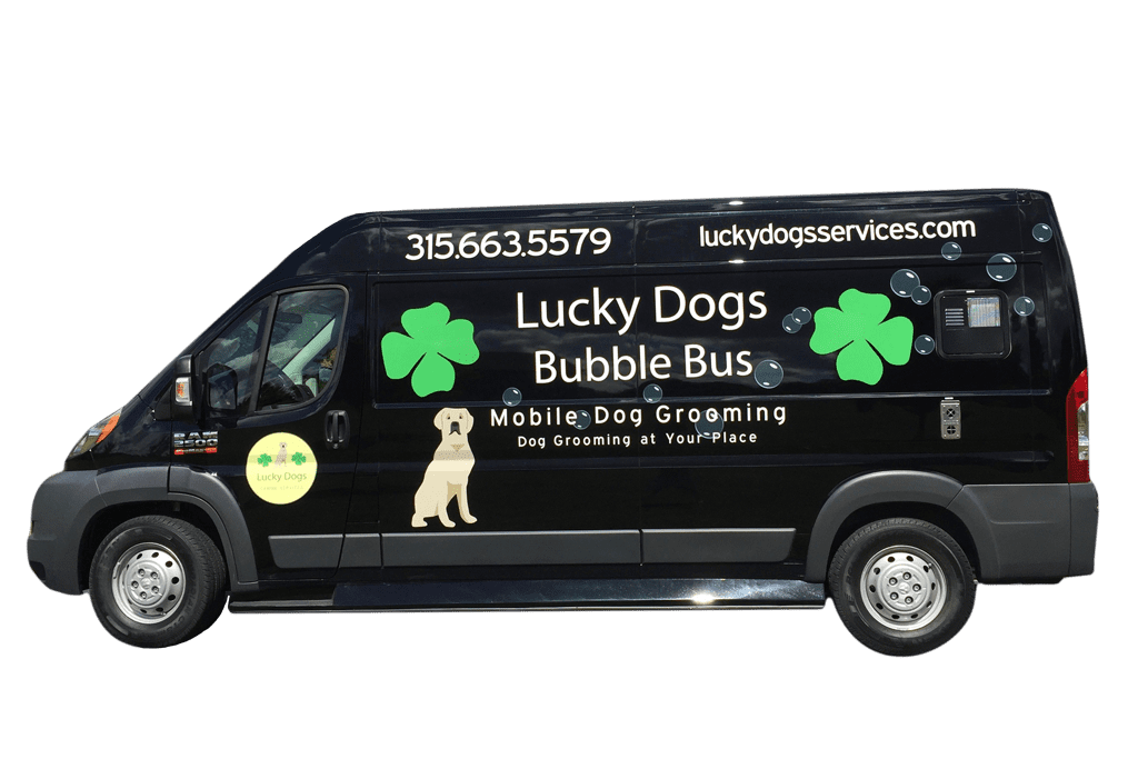 Lucky Dogs Canine Services & Quality Pet Supplies