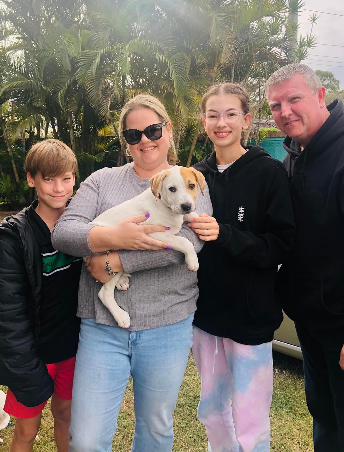 Adoption Process Lucky Paws Dog Rescue Inc