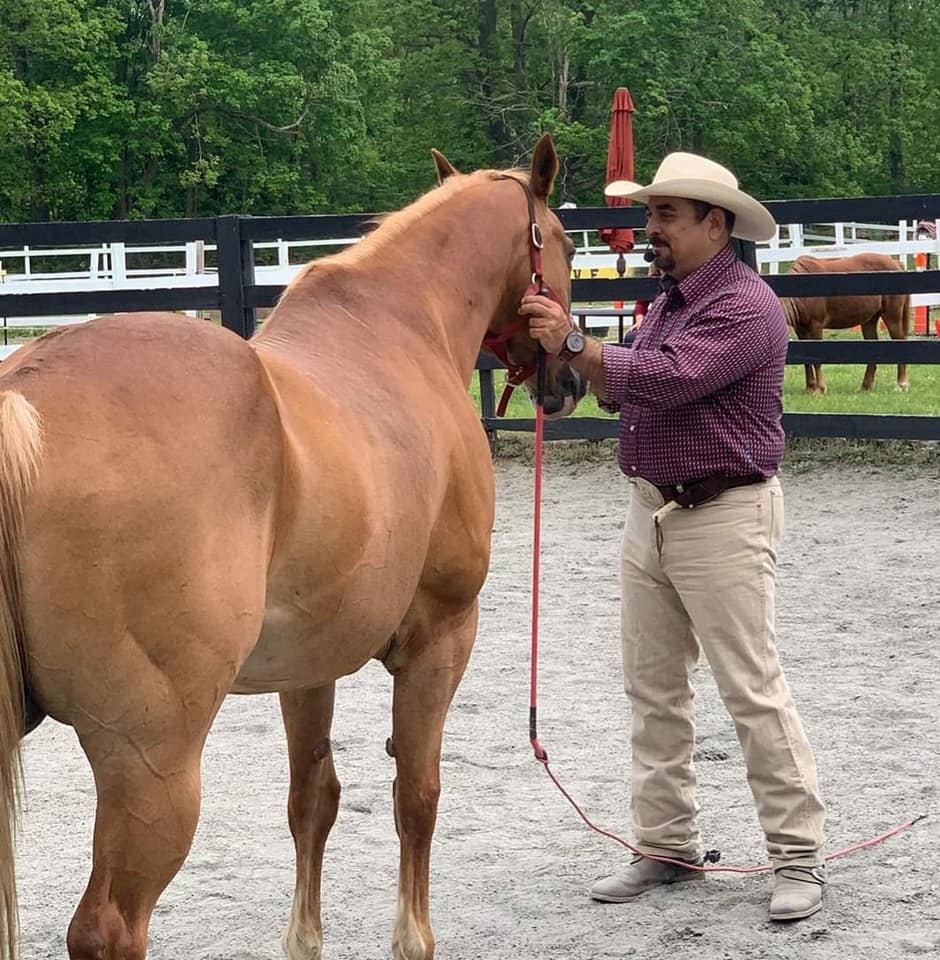 New Paltz Events September 2023 Clinics Lucky Star Horsemanship