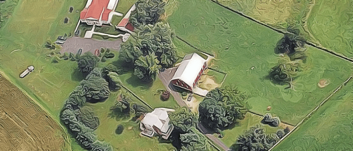 Lucky Stars Pet Resort Luxury boarding, grooming, and doggie day care