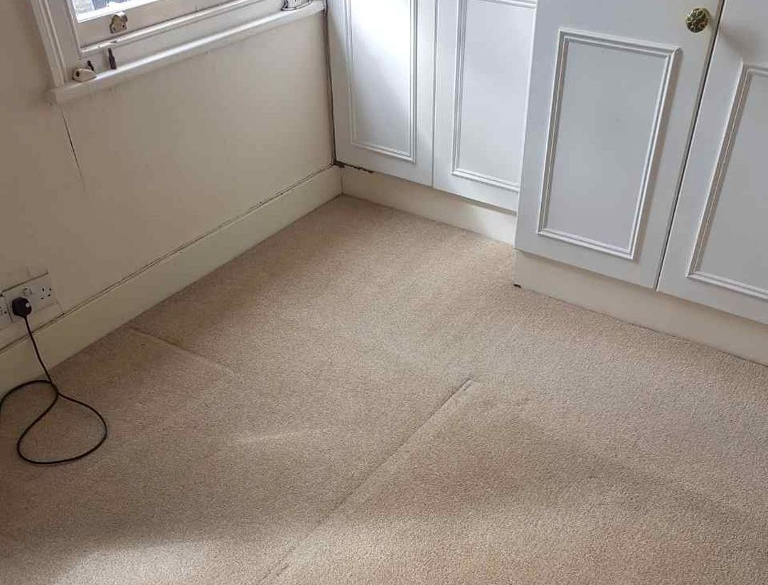 Carpet Cleaning Company London Cleaning Services