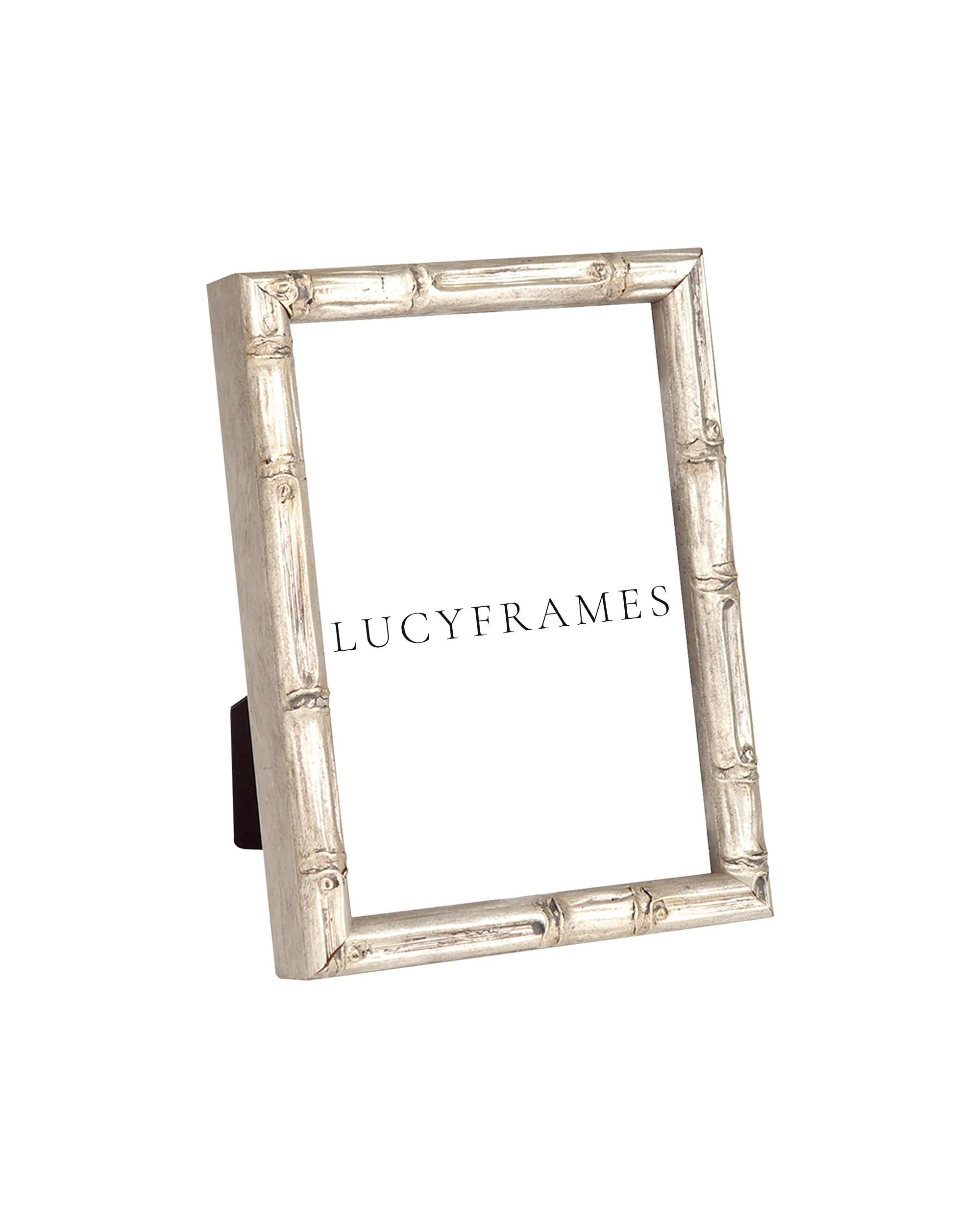 Rosalinda Silver Frame lucyframes