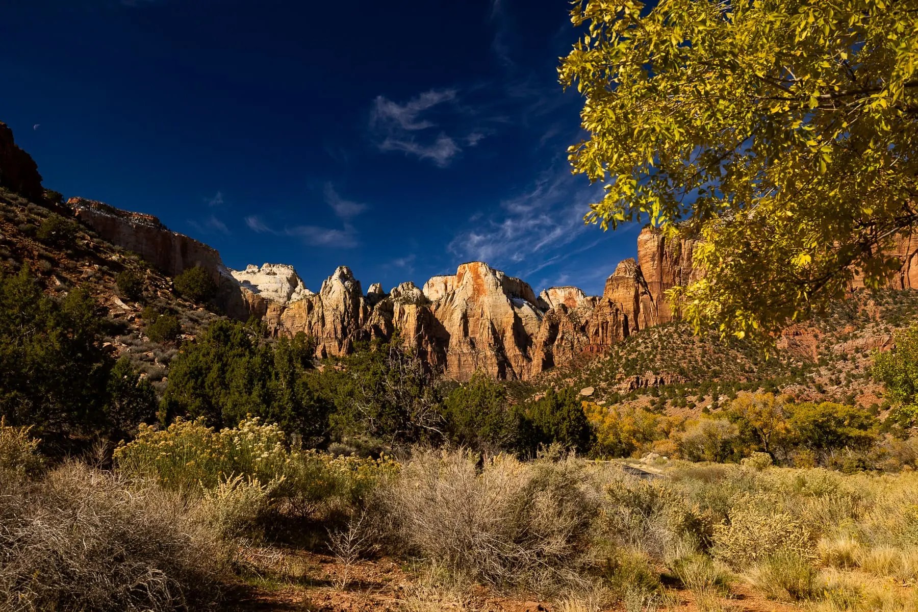 Zion National Park Map And Guide 2025 Karil Marlena