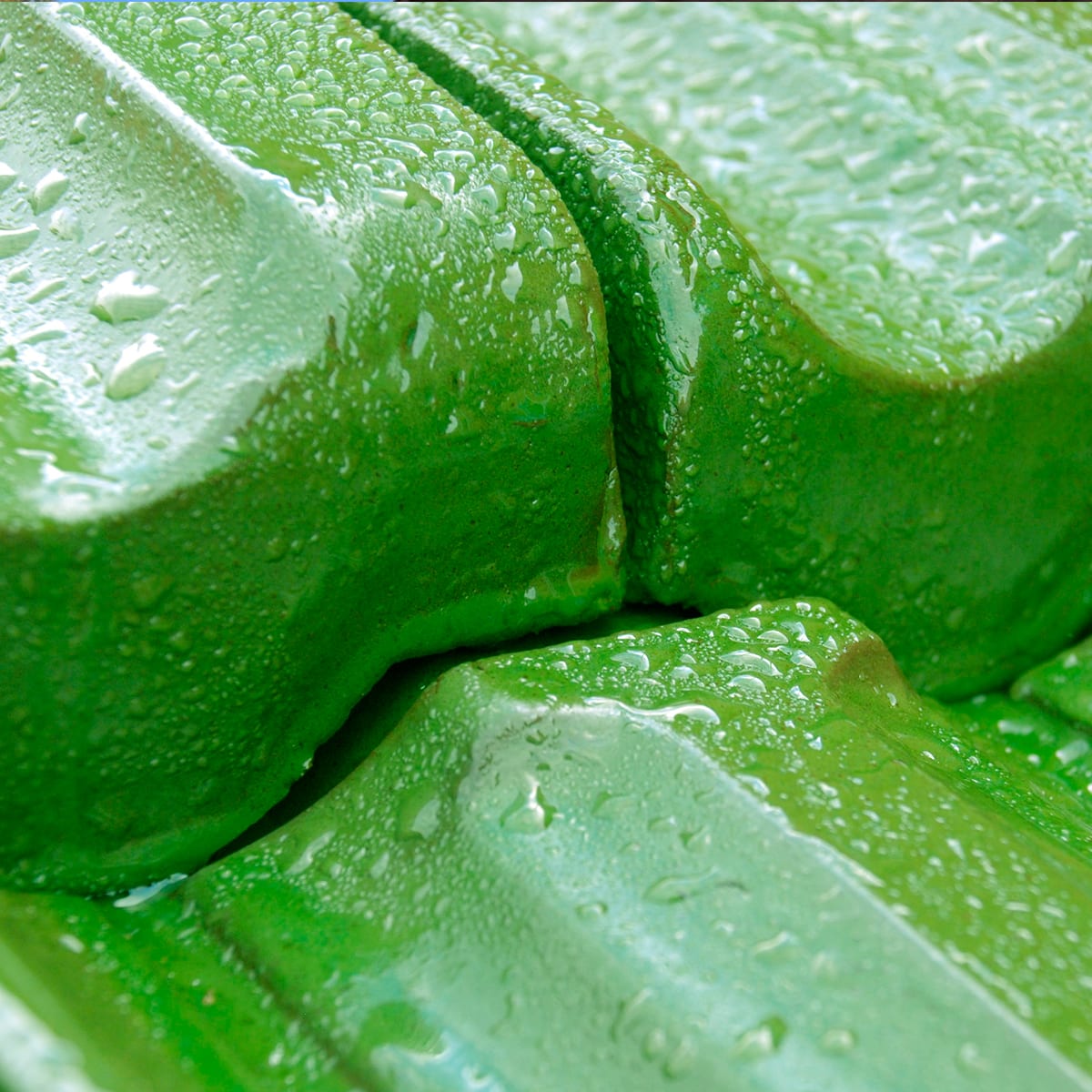 Ludowici Terra Cotta & It’s Ability To Weather The Storm Ludowici