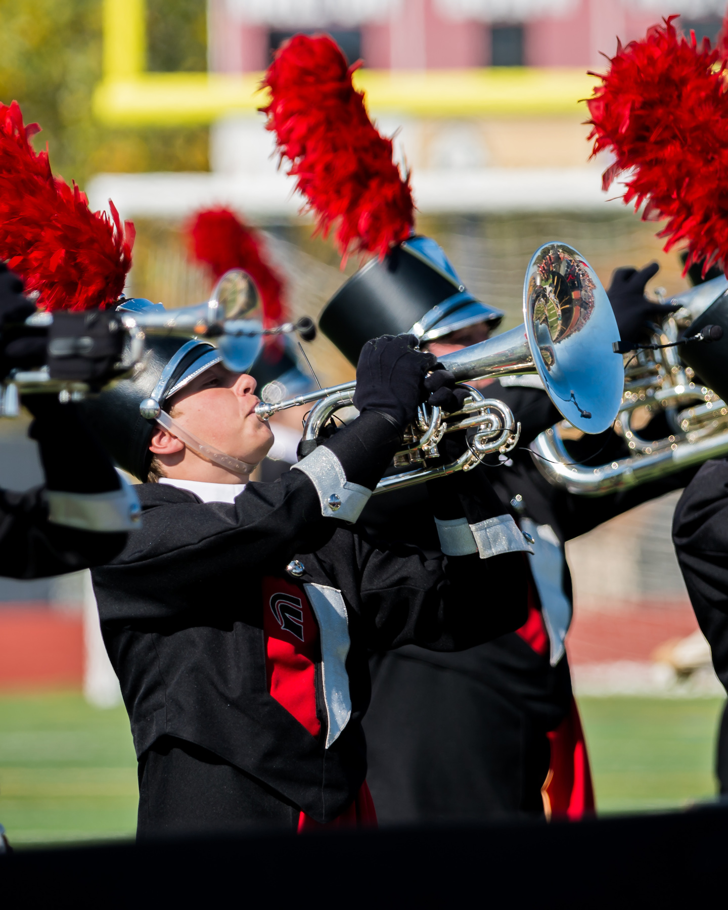 Ludus Fairview Bands