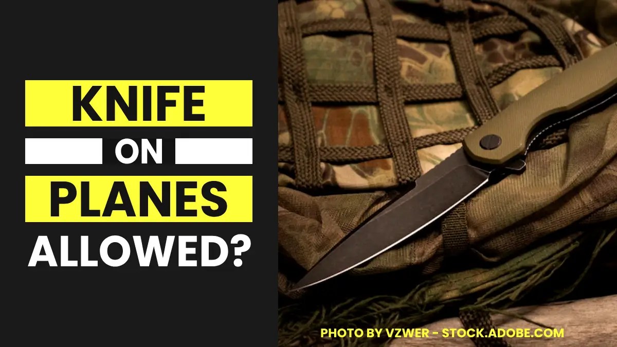 Can You Bring a Knife on Plane in Your luggage in 2024? LL