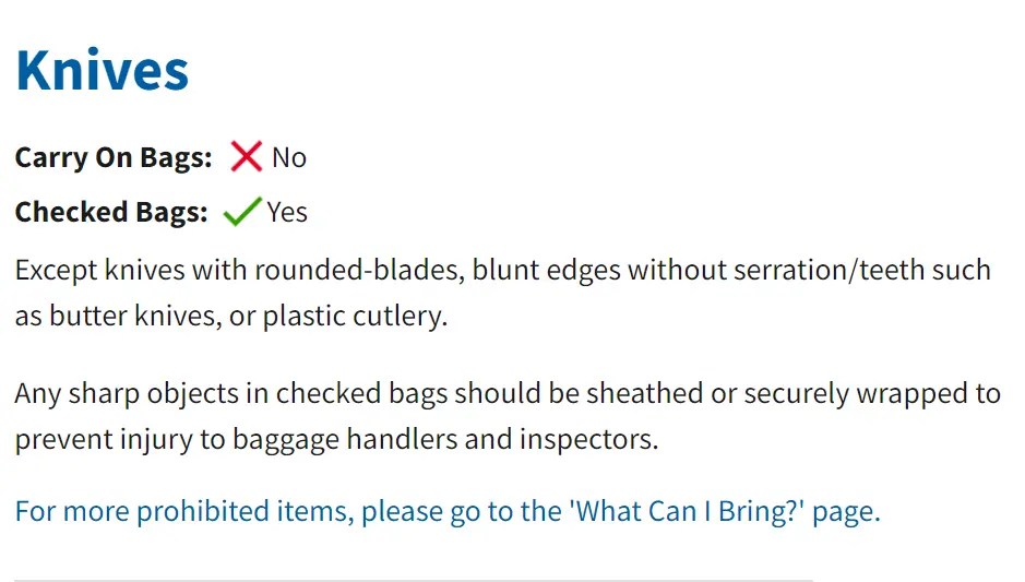 Can You Bring a Knife on Plane in Your luggage in 2024? LL