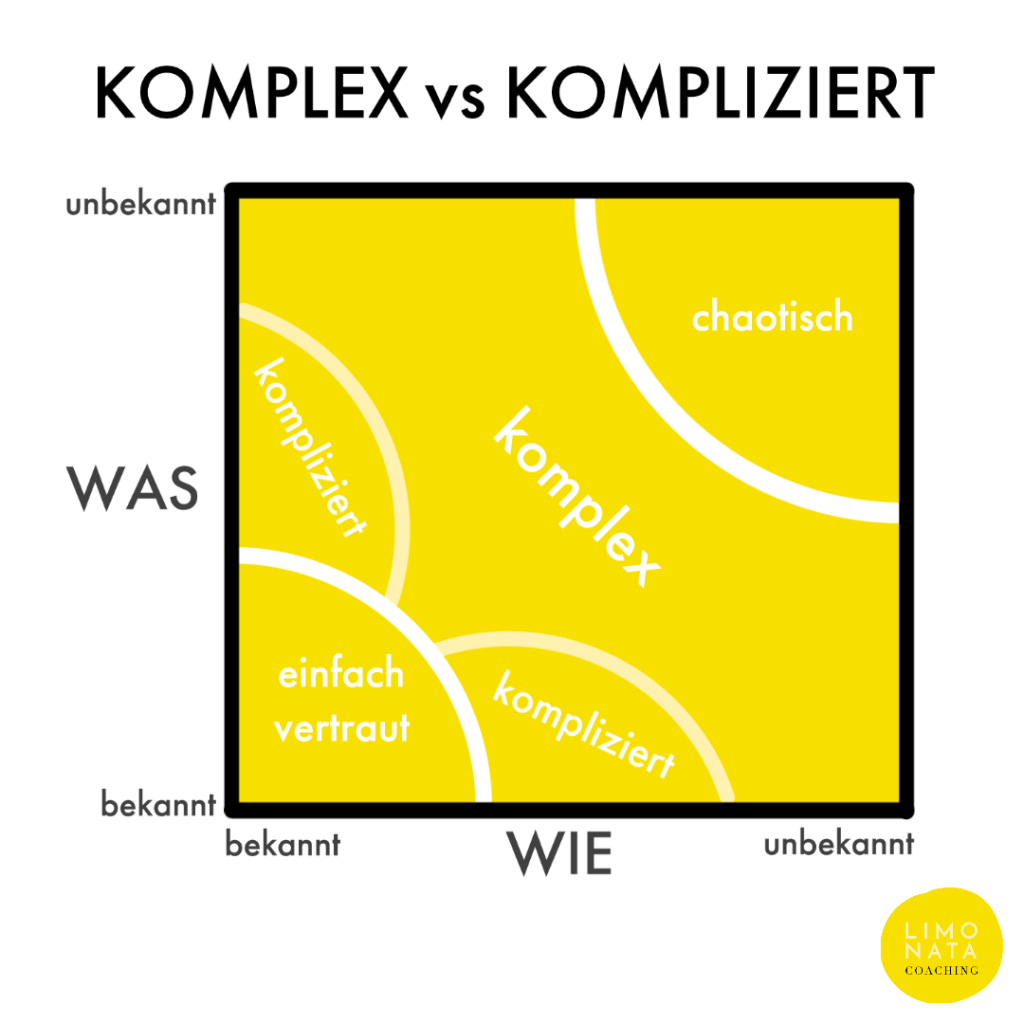 KOMPLEX VS KOMPLIZIERT LIMONATA COACHING by Luisa Bergholz