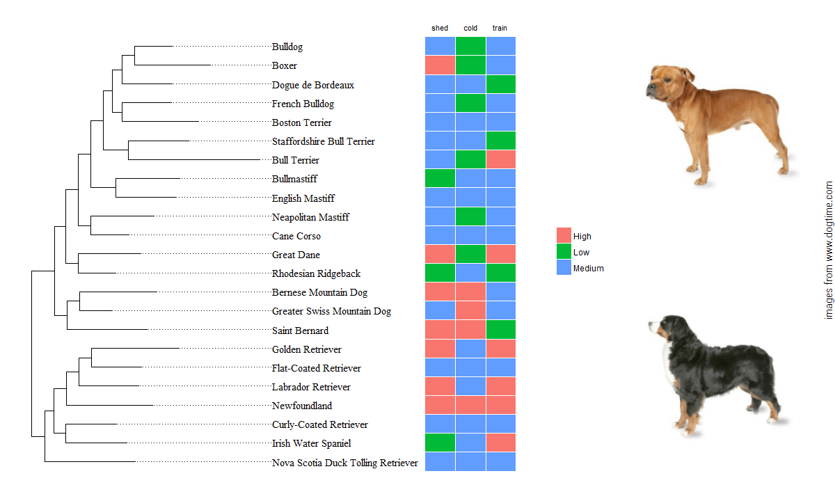 The tRee of dog bReeds Luis D. Verde Arregoitia