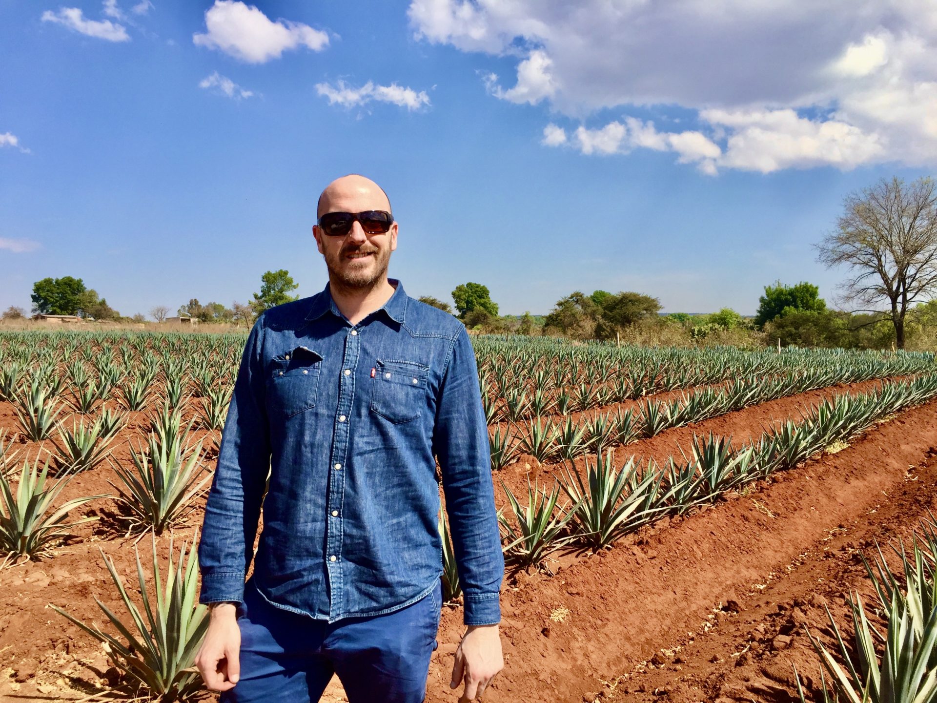 El tequila en Arandas y Guadalajara, Jalisco Luis Inchaurraga